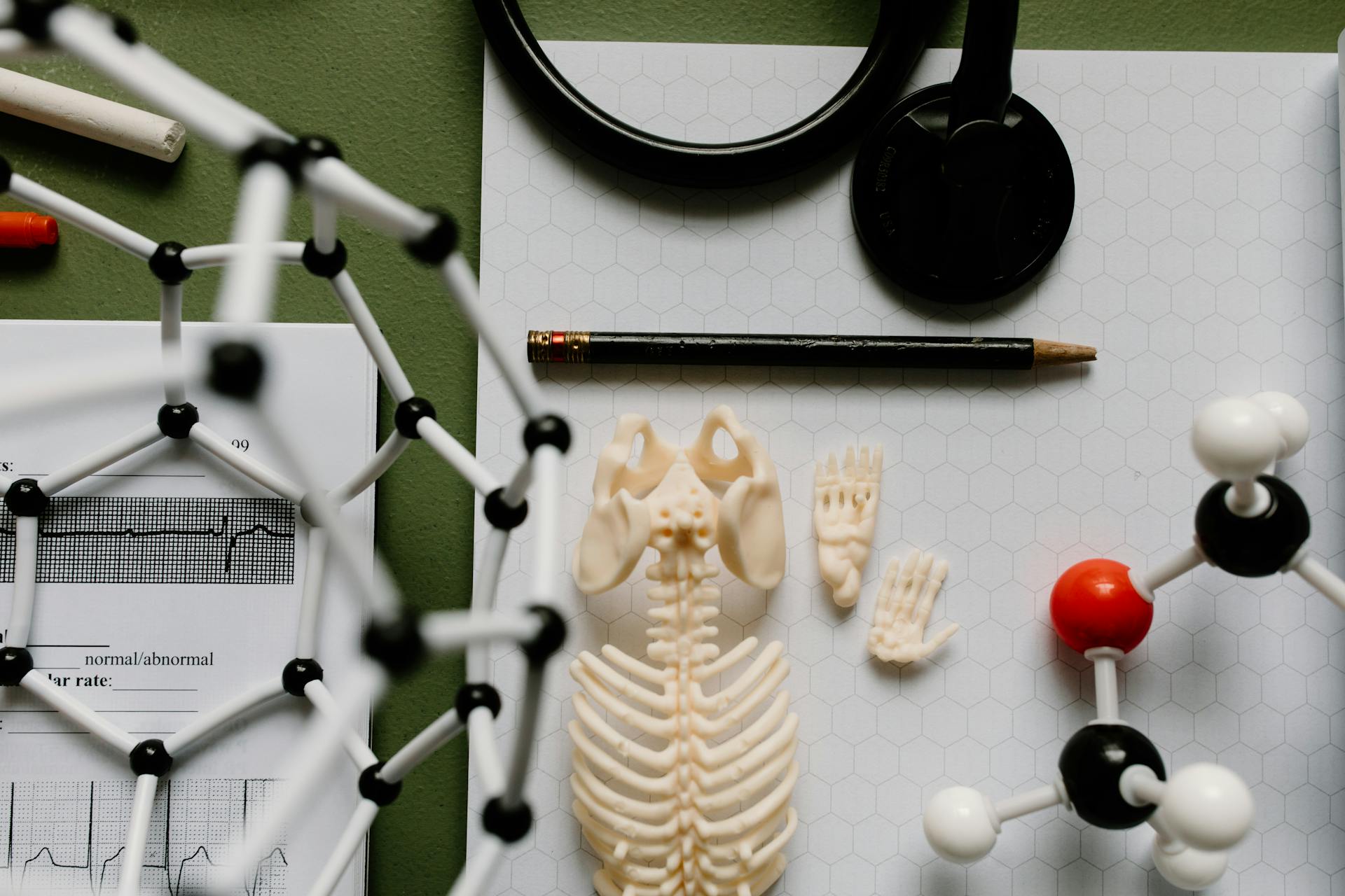 This is an image of a desktop with various related medical objects including a small skeleton, a model of a molecule and a stethoscope.